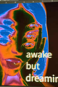 Awake but dreaming