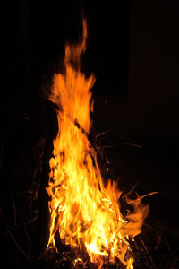 THE FIRE.