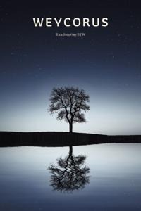 Weycorus