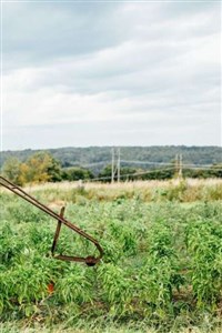 The Power of Formations