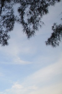 A sky as blue as ours