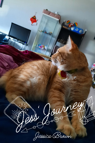 Jess' Journey