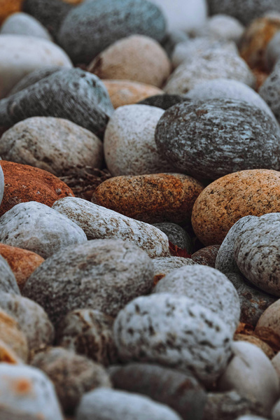 The Adventures of Zzrk