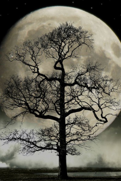 Sigismund of Castle Nubilous